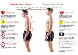 Человек в шортах, стоящий спиной, демонстрирует на графике.